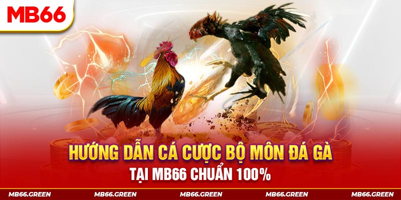 777king kết quả xổ số miền bắc ngày hôm nay