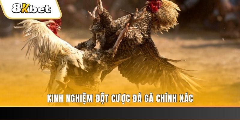 777king xổ số thứ bảy hàng tuần
