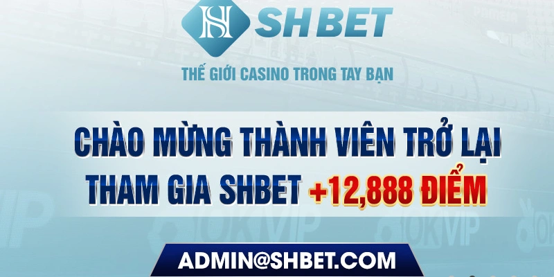 777king 789bet có bao nhiêu sảnh game bài 3d ？