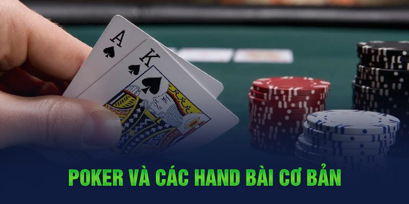 777king đá gà cựa dao