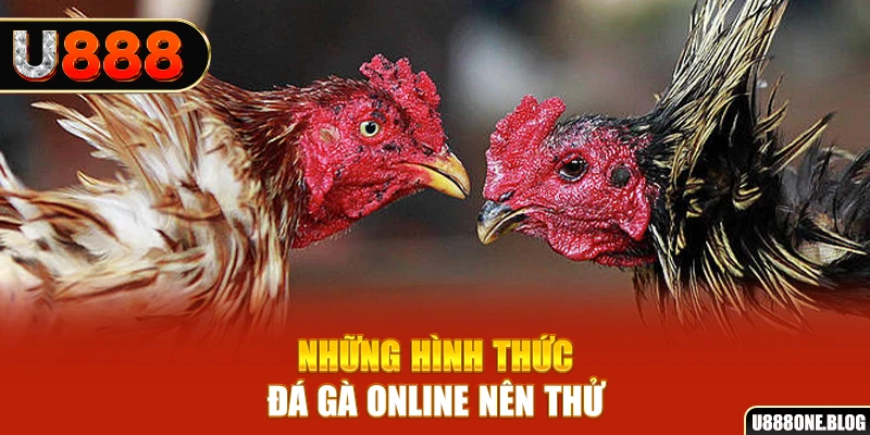 777king nổ hũ ai là gì