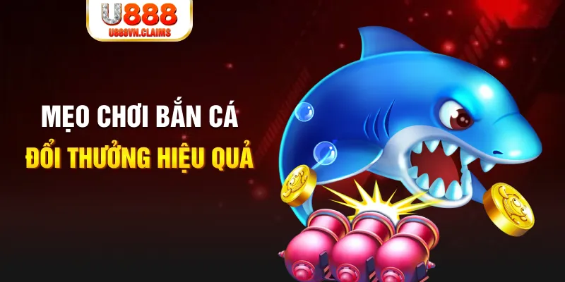 777king gà chọi cam ranh