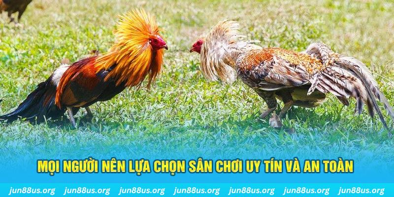 777king Cỡ bảy