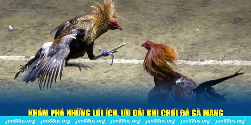 777king đăng nhập liêng live