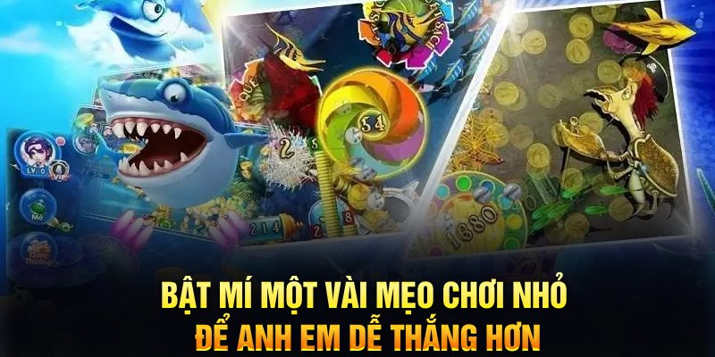 777king xổ số thứ ba