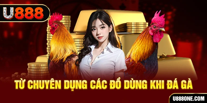 777king đá gà trực tiếp campuchia